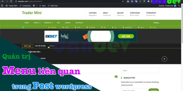 Hướng dẫn quản lý menu liên quan trong post wordpress