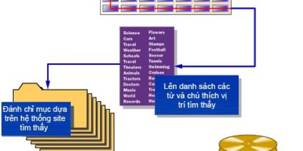 Cơ chế hoạt động của công cụ tìm kiếm